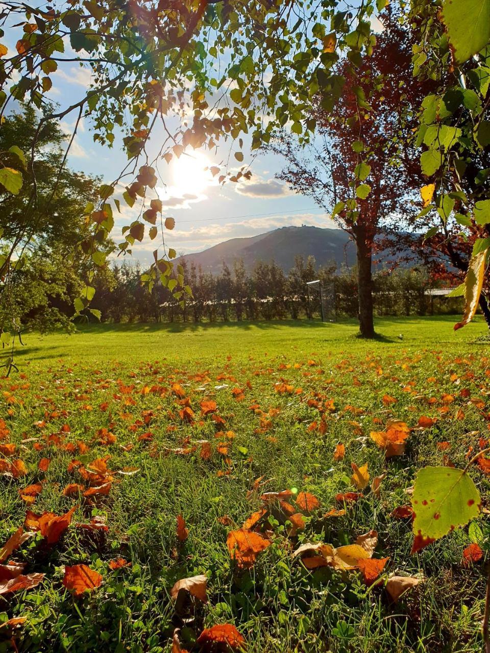 Agriturismo Di Charme Erbadoro Alvito Eksteriør bilde